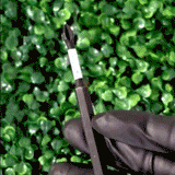 6-Inch High Durability Impact Driver Bits (10-Pack)