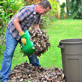 Hand Rake Leaf Scoops