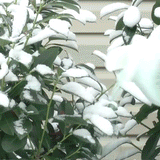 Ice Melter being used