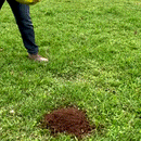 Adjustable Lawn Leveling Rake-2