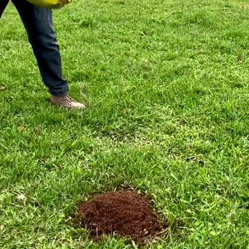 Adjustable Lawn Leveling Rake - 0