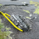 Lake and Pond Rolling Peeler-2