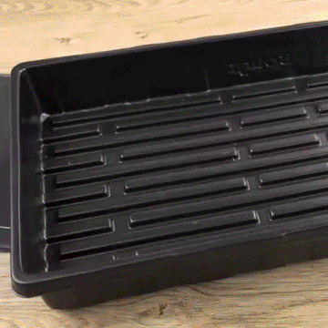 Seed Starter Tray Kit - 0