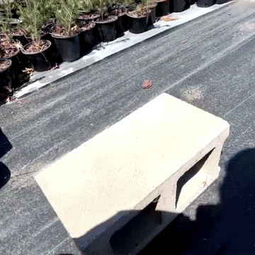 Soft Grip Brick Tongs - 0