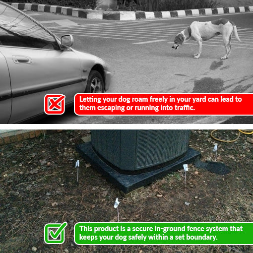 In-Ground Pet Fence