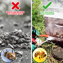 Oxalic Acid Vaporizer-3