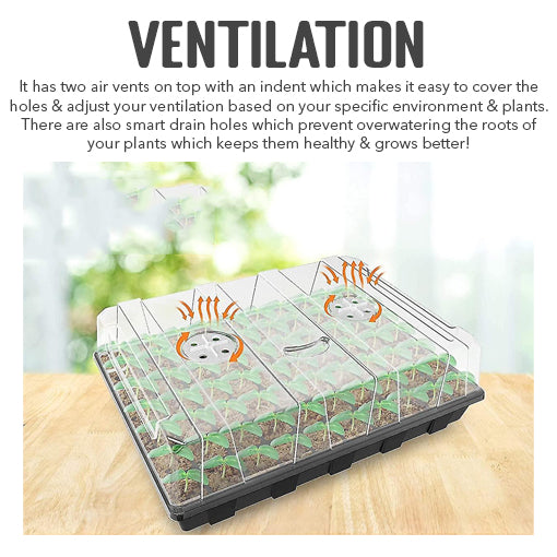 Seed Starter Tray Kit