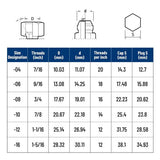 JIC Cap and Plug Assortment Kit