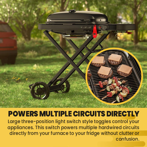 Traveler Compact Portable Gas Grill