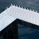 Clear PVC Bird Spike Strips-8