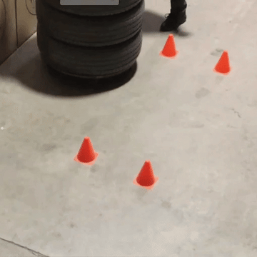 Automotive Tire Transporter - 0