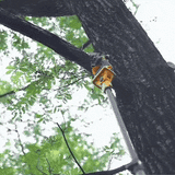 6-in-1 Pole Saw & Cordless Hedge Trimmer Combo Kit