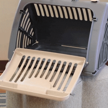 Foldable Travel Cat Carrier - 0