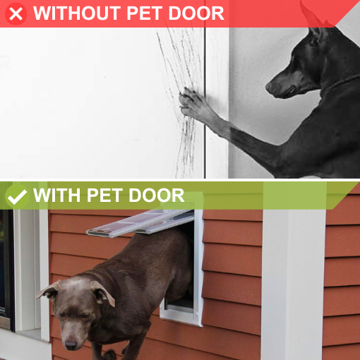 Wall Mounted Double Flap Pet Door