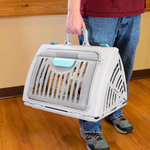 Foldable Travel Cat Carrier