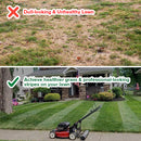 Lawn Striping System-3