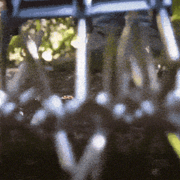 Telescoping Rotary Hand Cultivator - 0