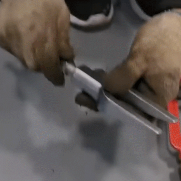 Pickle Fork Tool Set - 0