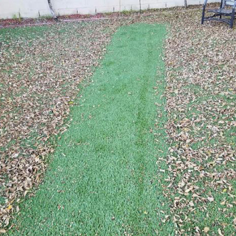 lawn sweeper best