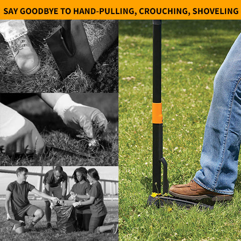 dandelion puller tool