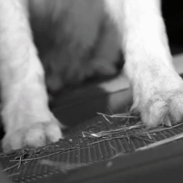 4-Layer Car Seat Cover for Pets - 0