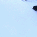 2-in-1 Heavy Duty Ice Dozer and Scraper-2