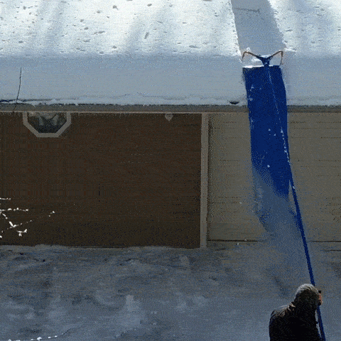 20Ft. Telescoping Snow Roof Rake
