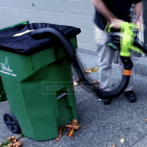 Leaf Blower Collection System Accessory