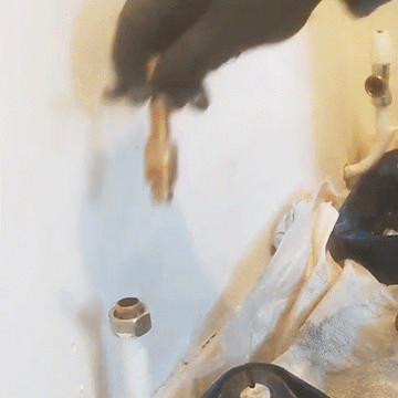 Olive Ring Removal Tool - 0