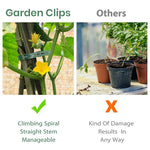 Garden Clips comparison photo