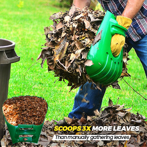 Scoop 3x More Leaves