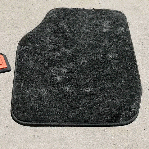 Removing pet hair from rugs