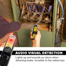 Audiovisual alarm for leaks