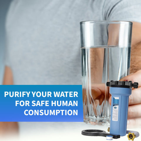 rv water filter near me