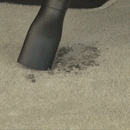 vacuum dry and wet