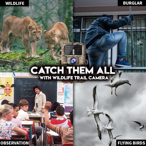 wildlife trail camera