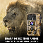best wildlife trail camera