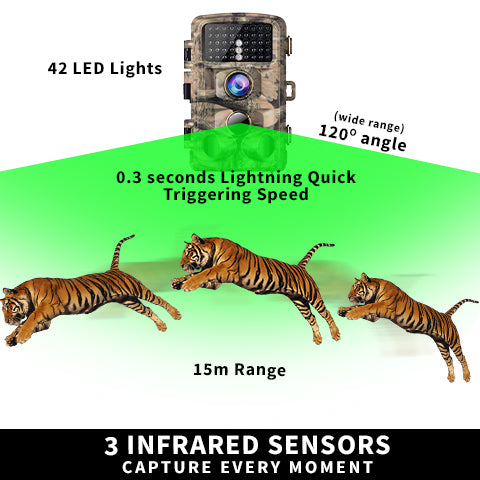 wildlife trail camera