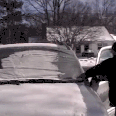 Multi-functional Windshield Cover