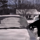Multi-functional Windshield Cover-3